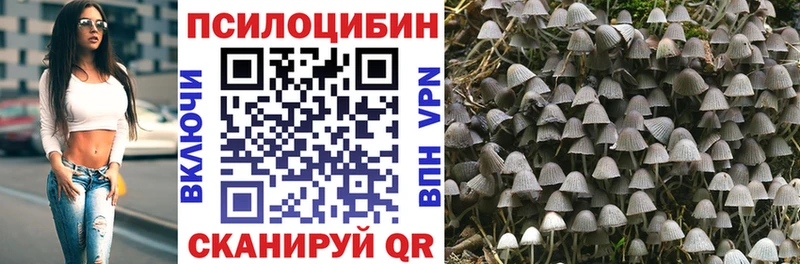 Псилоцибиновые грибы Psilocybine cubensis  магазин продажи   Трёхгорный 